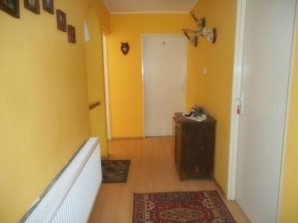 Przy Lesie Apartment Nowe Luaran gambar